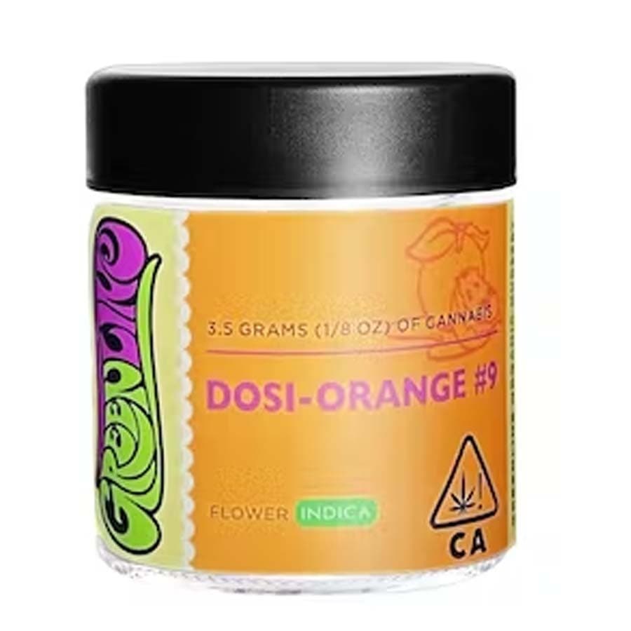 Dosi-Orange #9