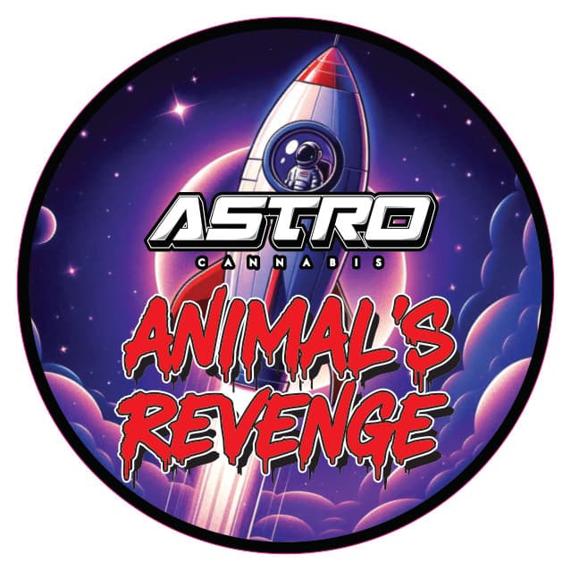 Animal 's Revenge